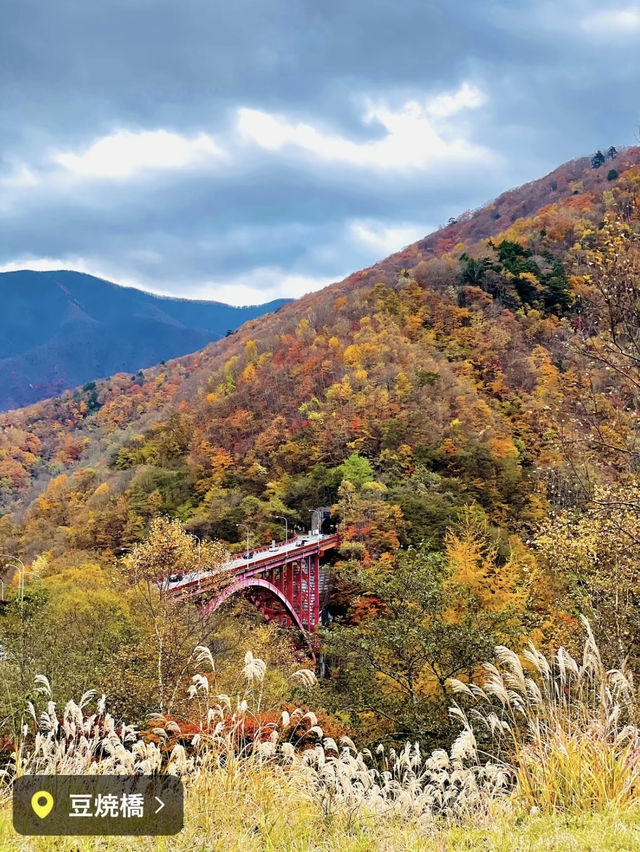 【奥秩父】絶景紅葉🍁 穴場スポット