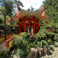 Baguio Botanical Garden: 