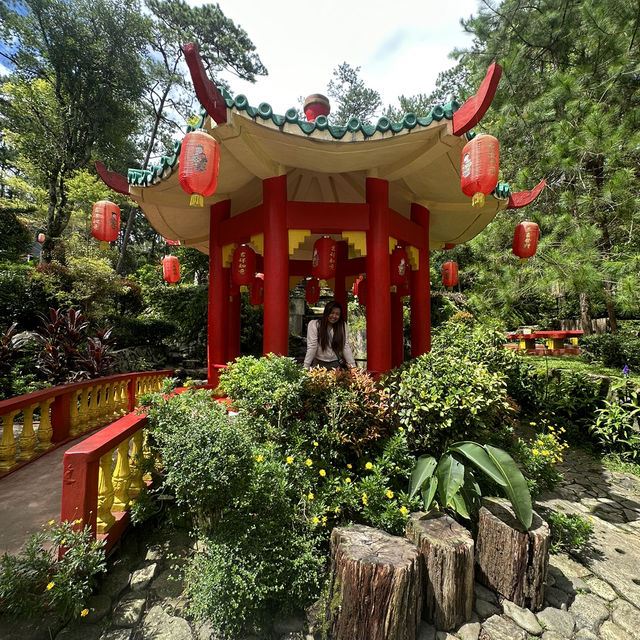 Baguio Botanical Garden: 