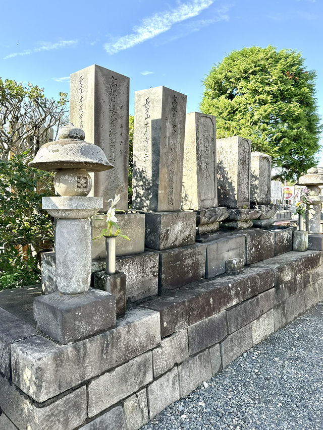 【埼玉県】立派な楼門と本堂