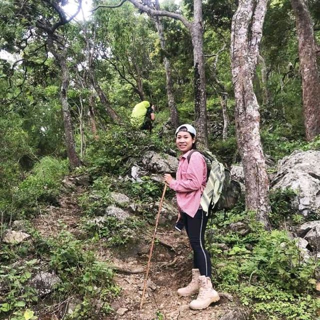 ทริปเดินป่าที่ไม่ควรพลาด
