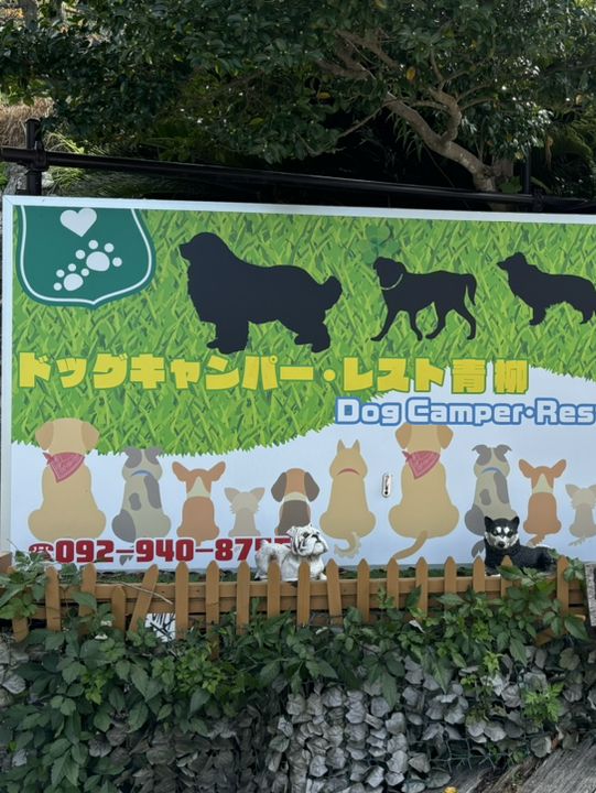 【福岡キャンプ】愛犬と泊まったり食事ができる施設