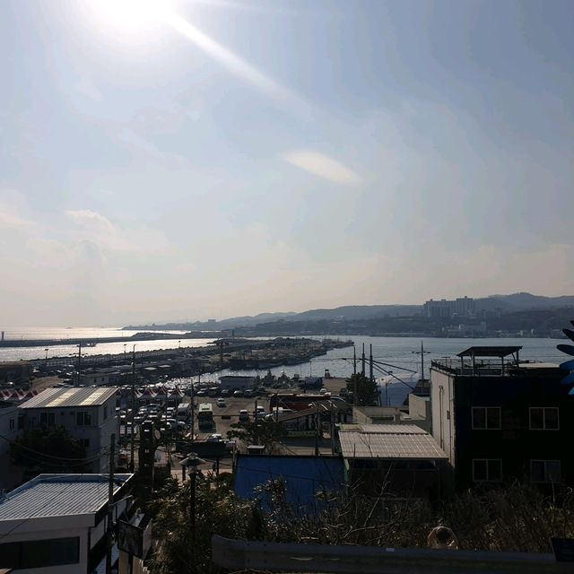 겨울 냄새 풀풀 나는 포항 구룡포