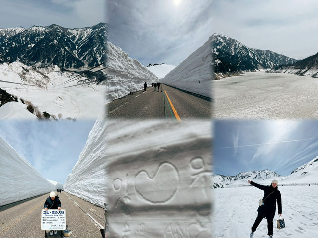探訪立山黑部：壯麗的雪山觀光之旅 🏔️🌸