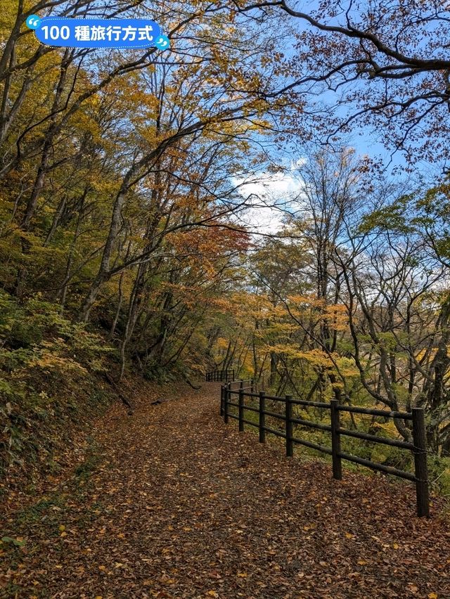 鳴子峽芬多精秘境，大深沢溪流森林步道