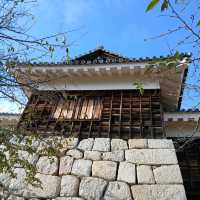 四國愛媛松山城
