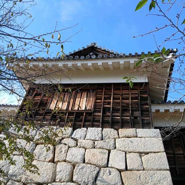 四國愛媛松山城