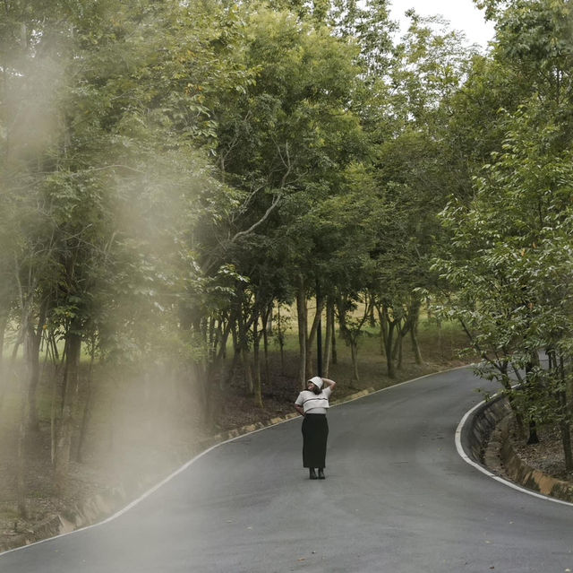 The Gallery Khao Yai Hotel and Residence 