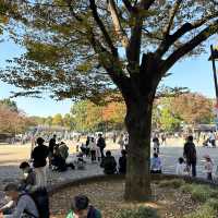 Ueno Park • Tokyo 🇯🇵 Japan