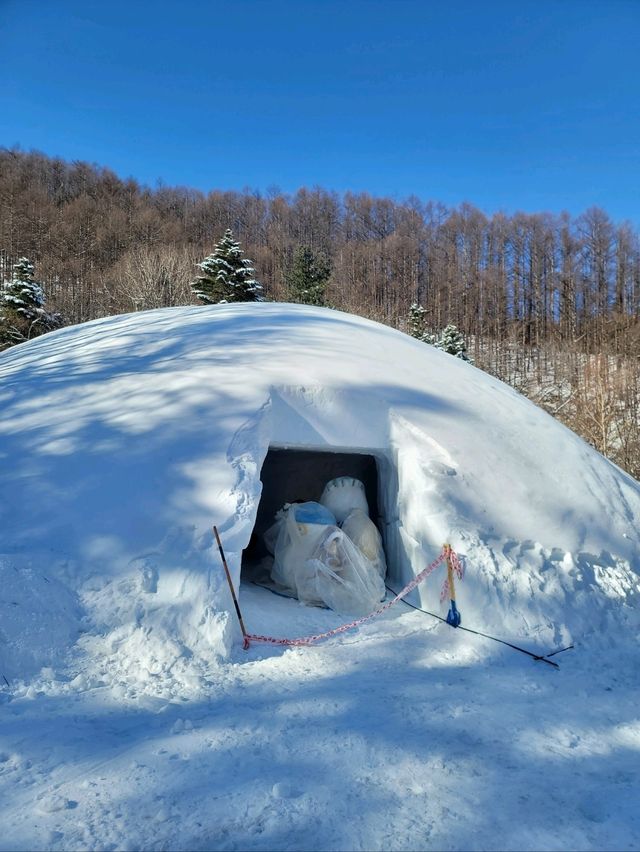 새하얀 눈꽃밭을 맘껏 즐길수 있는 태백눈꽃축제❄️
