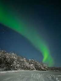 ชมแสงเหนือที่ Alaska