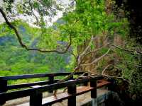  🌳🌳เพชรบุรี ไม่ได้มีแค่ทะเล  🌊🌈🌳