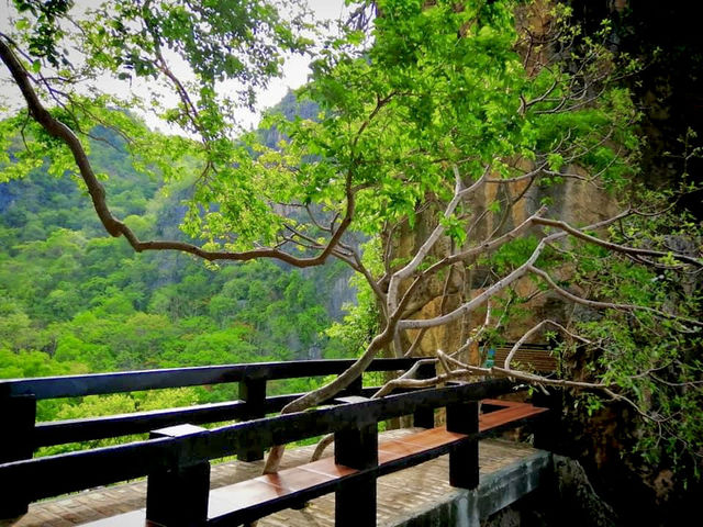  🌳🌳เพชรบุรี ไม่ได้มีแค่ทะเล  🌊🌈🌳