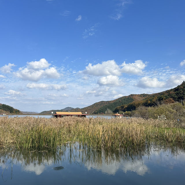 맑은 날씨에 더욱 추천하는 충북 괴산 문광저수지 🫧