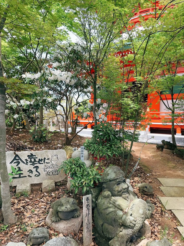 超多可愛青蛙🥰福岡青蛙寶地全攻略❤️❤️