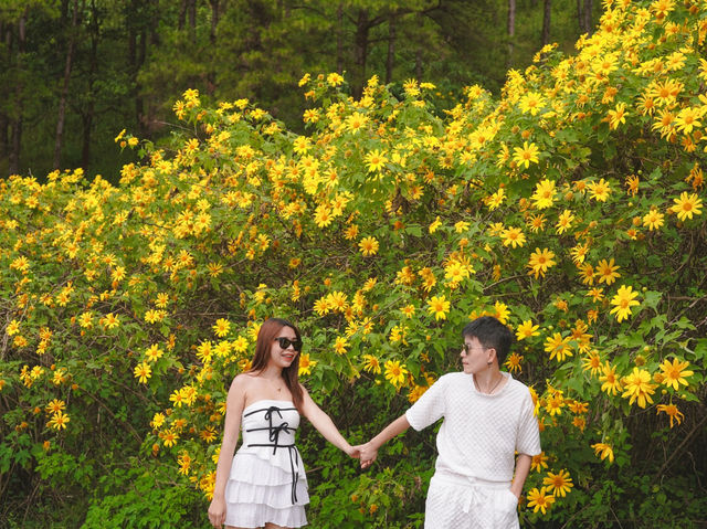 ทุ่งดอกบัวตอง ดอยแม่อูคอ  1 ปี มีครั้ง