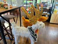 Cafe Amazon ปตท.หนองอ้อ จันทบุรี (ขาออก)🍵🎄