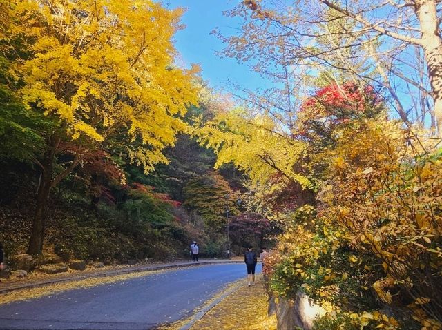 The glittering foliage at Yeonhwagyo, Guinsa at Danyang