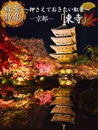 【紅葉特集】京都で建造物と紅葉のリフレクションを撮るならここ📸