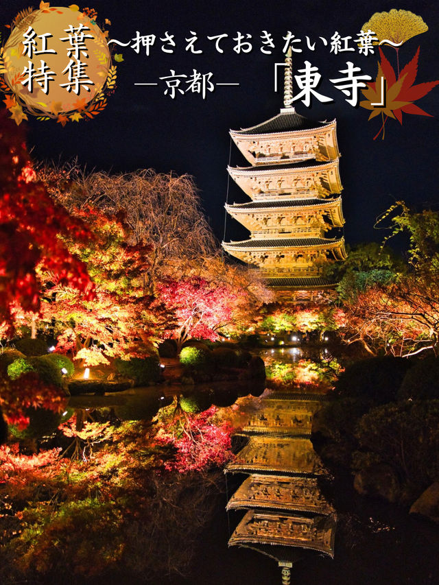 【紅葉特集】京都で建造物と紅葉のリフレクションを撮るならここ📸