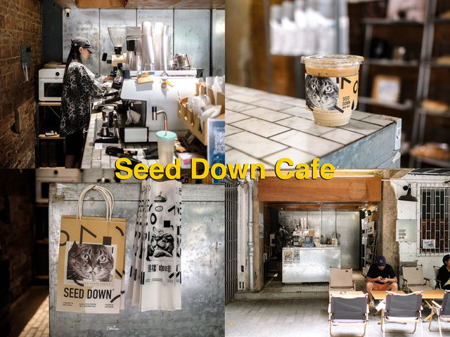 Seed Down Cafe คาเฟ่ในอพาร์ทเมนท์เก่าสุดคูล