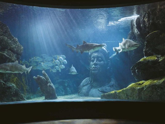 曼谷親子景點｜暹羅海洋世界🐠🦈