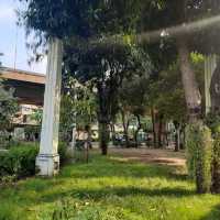 泰國曼谷湄南河畔綠洲公園景點:Chaloem Phra Kiat Forest Park，適合拍照打卡親子遊