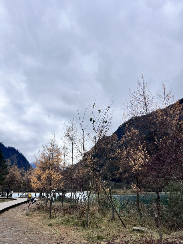 ธรรมชาติจีนสวยทะลุตาเนื้อ ‼️⛰️✨