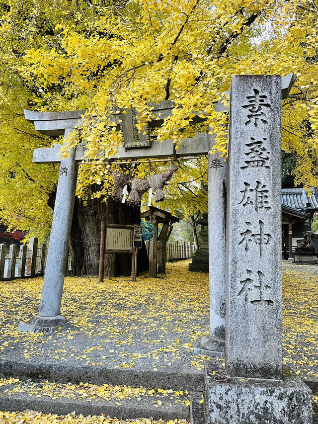 【奈良　素盞雄神社】