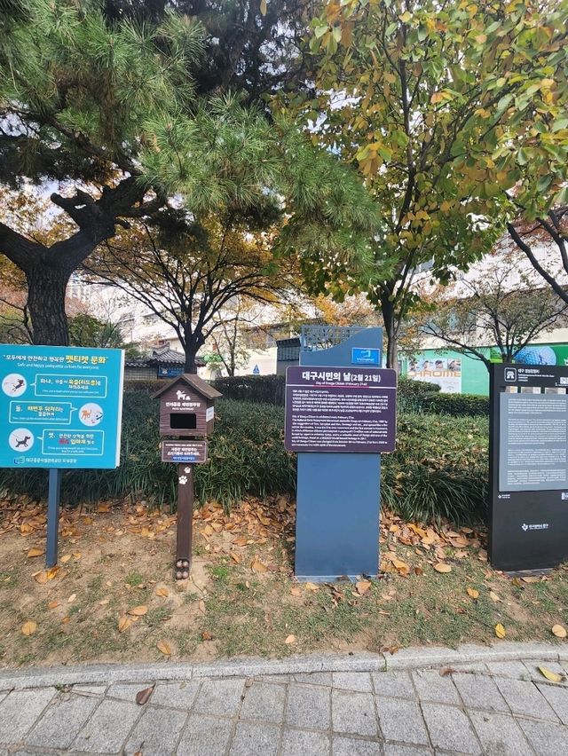 은행잎 가득히 떨어져 가을느낌 가득한 감영공원🌳