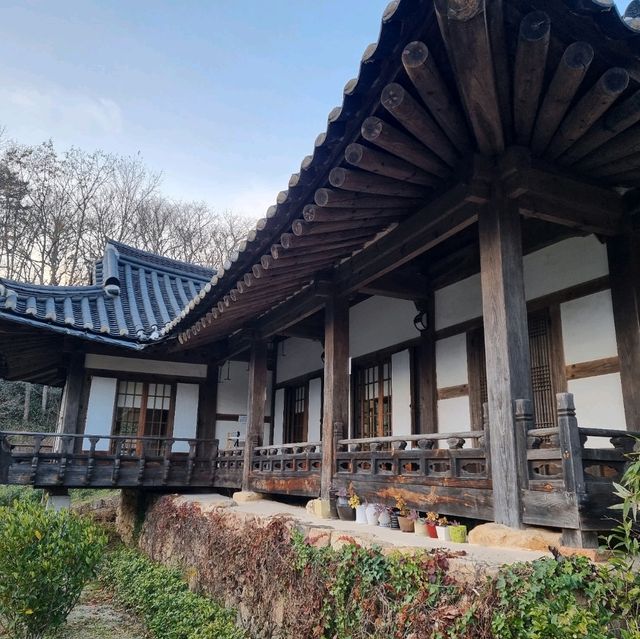 산사도 둘러보고 향긋한 야생차도 마셔보세요.
