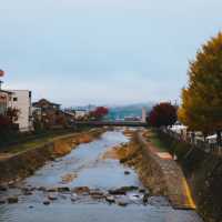 Miyagawa Morning Market