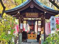 名古屋總鎮守 - 若宮八幡社