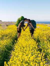 Fall in Love with USA National Parks: Nature at Its Finest