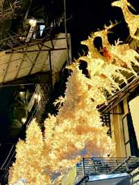 Hanoi - You don't wanna miss this Xmas street🎄