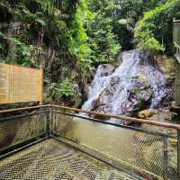 Tranquil Escape to Gaharu Tea Valley in Gopeng