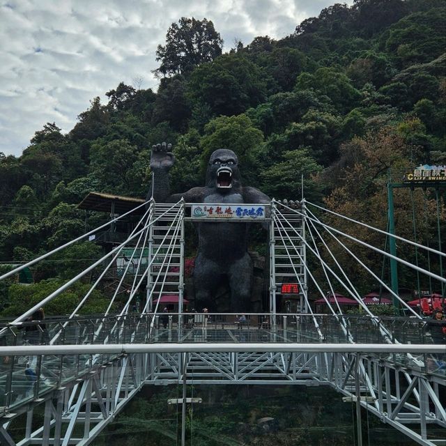 Qing Yuan Mountain View