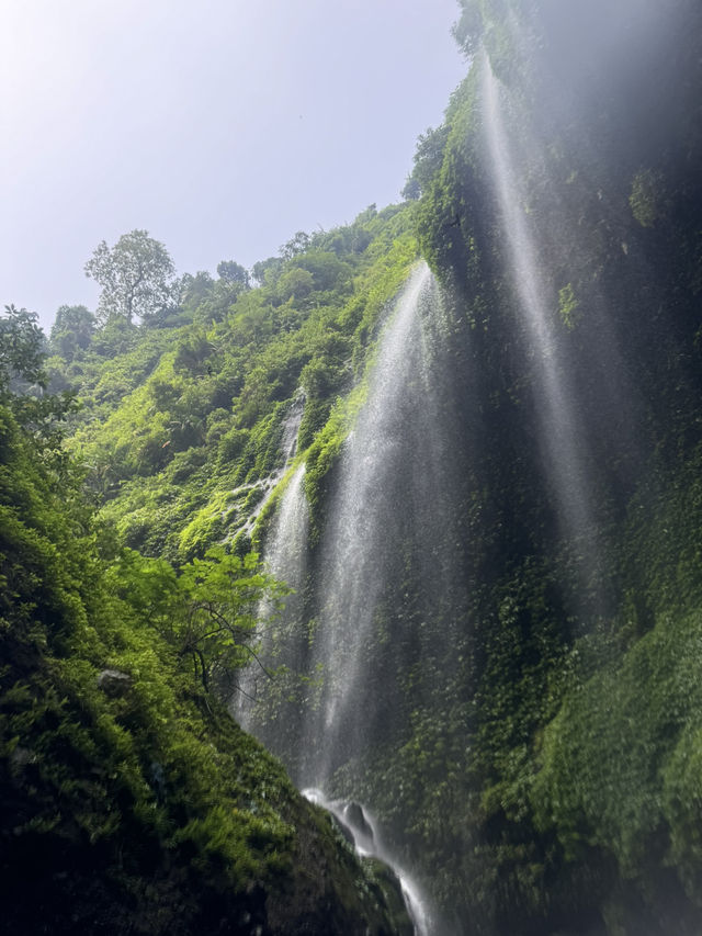 Chasing Waterfalls: My Unforgettable Adventure at Madakaripura