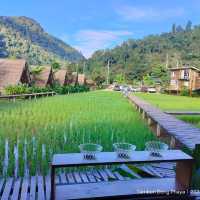 แนะนำที่พักสะปัน คีรี แคมป์ บ่อเกลือ ต่อจ้า