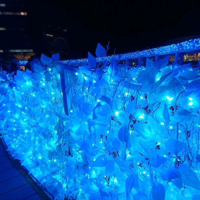 【大阪】大阪でおすすめのクリスマスイルミネーション🎄