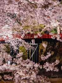 【青森弘前城】桜の名所で感動のお花見を！