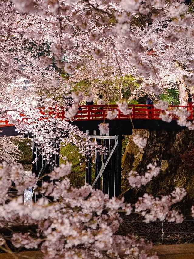 【青森弘前城】桜の名所で感動のお花見を！
