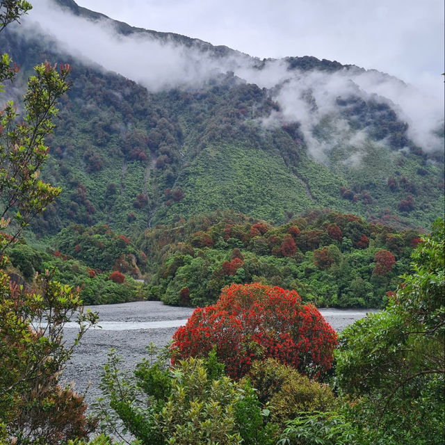 Journey to the Glacier: Exploring Robert’s Point Track🏔️🌿
