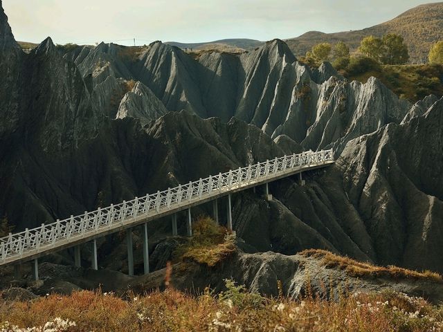 Flaring Rock Forest [Moshi Park in Autumn]