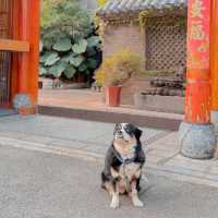 Kunming Stay