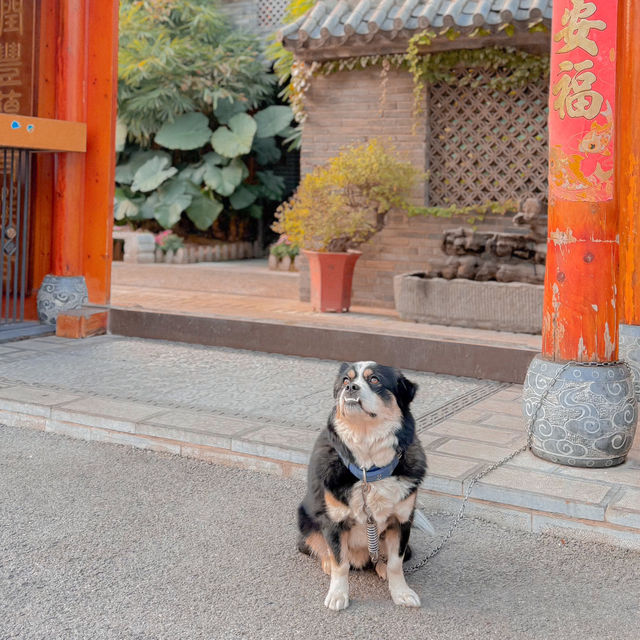 Kunming Stay