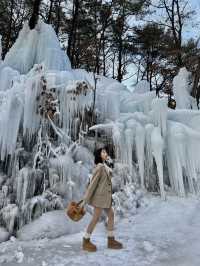 어디 북유럽아니고 대한민국 의정부의 겨울왕국, 달리온⛄️🇰🇷