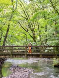 【大分県/由布市】まるでジブリの世界！？美しすぎる湧水群