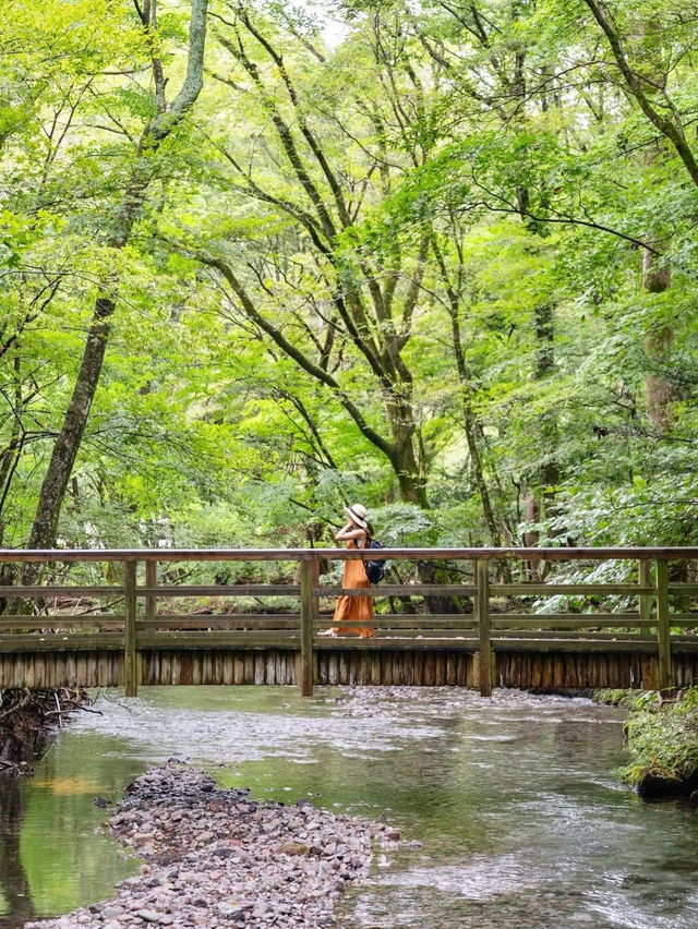 【大分県/由布市】まるでジブリの世界！？美しすぎる湧水群