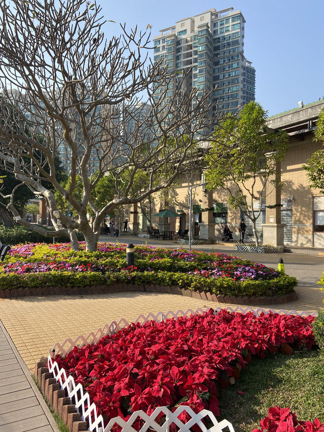 🏖️香港馬灣東灣泳灘｜假日好去處😎🔥